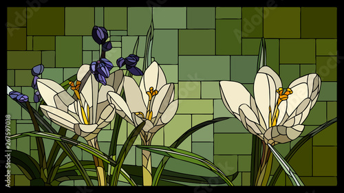 Vector stained glass window with blooming crocuses with leaf.
