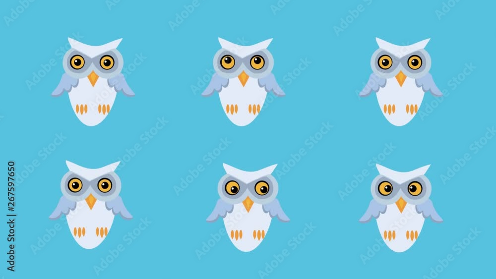 Owls looking in different directions. Funny animated birds in cartoon style with flat design. Owls looking in different directions. Funny animated birds in cartoon style with flat design.