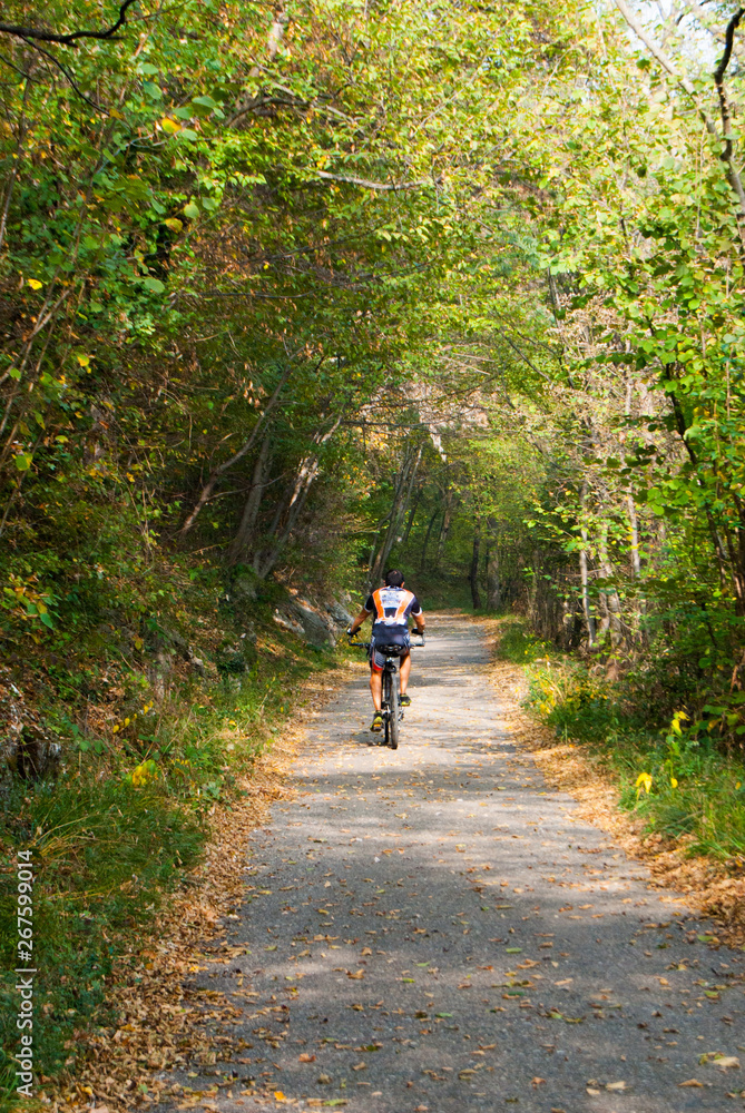 A man in mountain bike pedaling through nature