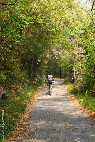 A man in mountain bike pedaling through nature © Simona