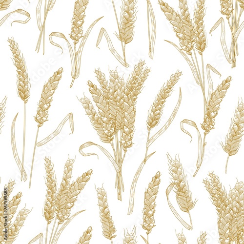 Natural seamless pattern with wheat ears on white background. Backdrop with cultivated cereal plant, grain or crop. Realistic vector illustration in retro style for wrapping paper, fabric print.