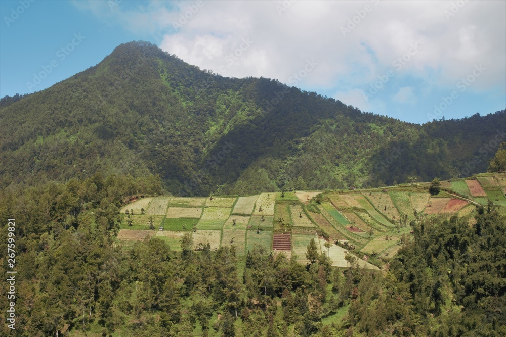 landscape in Indonesia