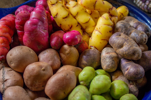 Bild auf Leinwand Andean Potatoes Varieties - closeup