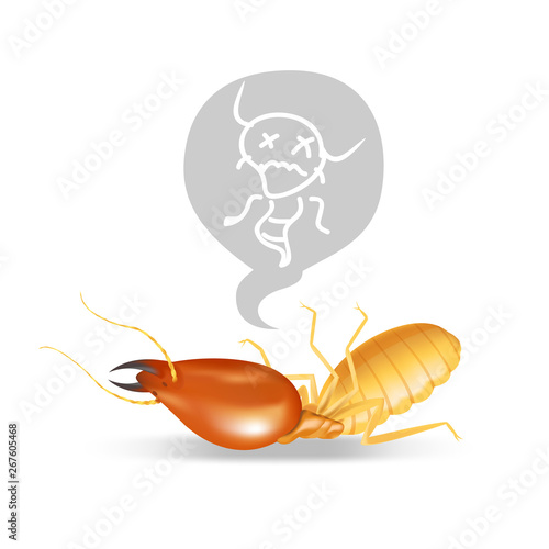 dead termites isolated on white background, insect species termite ant eaten wood decay and damaged wooden bite, cartoon termite clip art, animal type termite or white ants, illustration