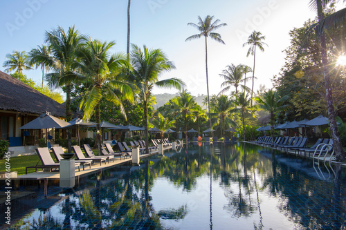 Idyllic pool at a small hotel in Thailand surrounded by coconut palm trees © evahh