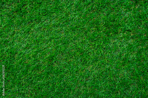 Full frame shot of green grass background