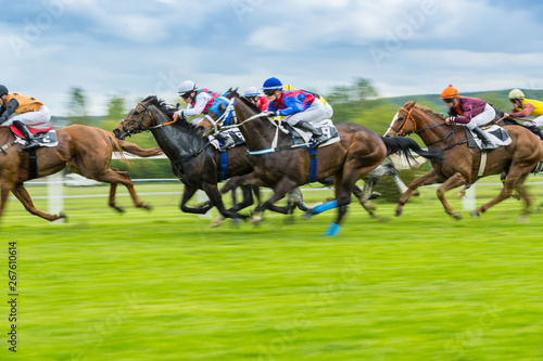 Photographie Horse racing outdoor derby