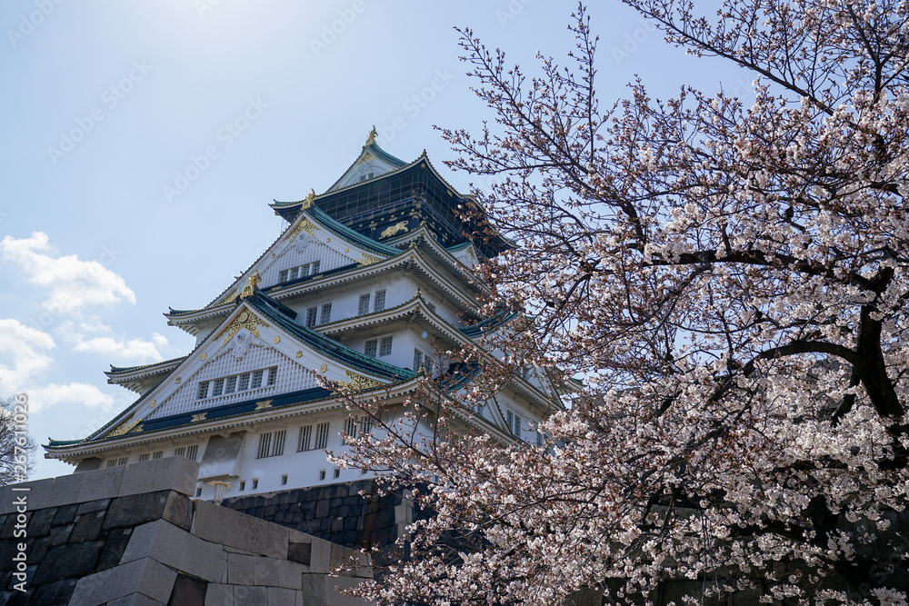 Osaka Castle and Cherry Blossom