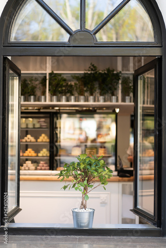 The window of the cozy cafe restaurant in which on the windowsill is green ficus and on the background of a showcase with desserts, cakes, macaroons and muffins.