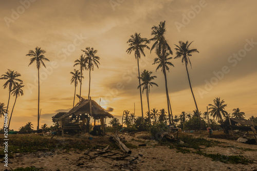 Hut and Coconut tree  on time colorful sunset.