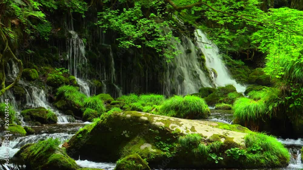 waterfall / Motodaki waterfall / Motodaki