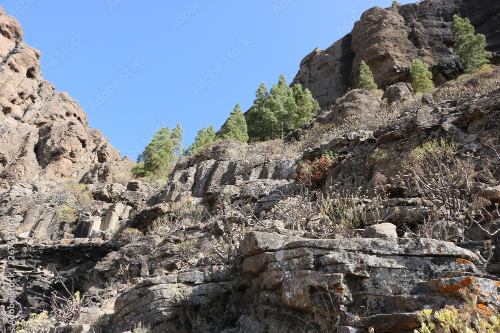 Naklejka premium Die schönen und natürlichen Berge und Täler Gran Canarias. Spanien