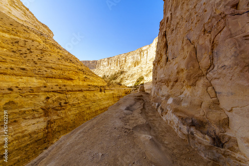 Canyon of Ein Avdat National Park  the Negev Desert