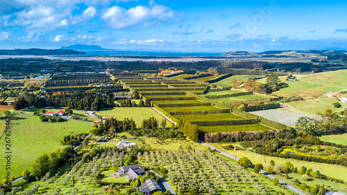 Little farms and orchards with oceanic bay on the background. Auckland, New Zealand