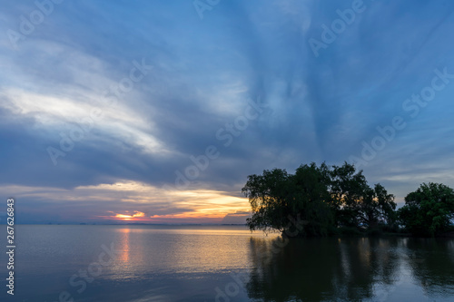 Twilight sky and silhouette tree