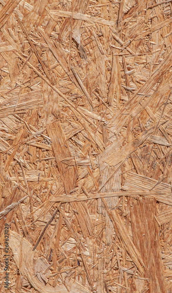 texture of wood texture of wood