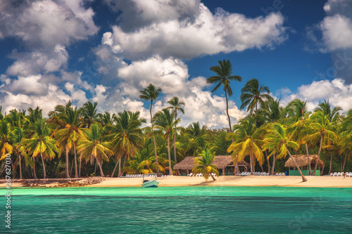 Palm tree beach and tropical island. Dominican Republic © ValentinValkov