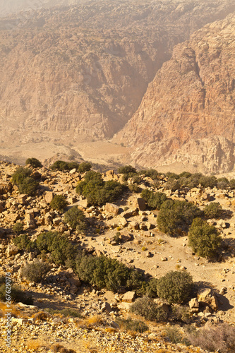 Reserva de la Biosfera de Dana. Jordania, Oriente Medio photo