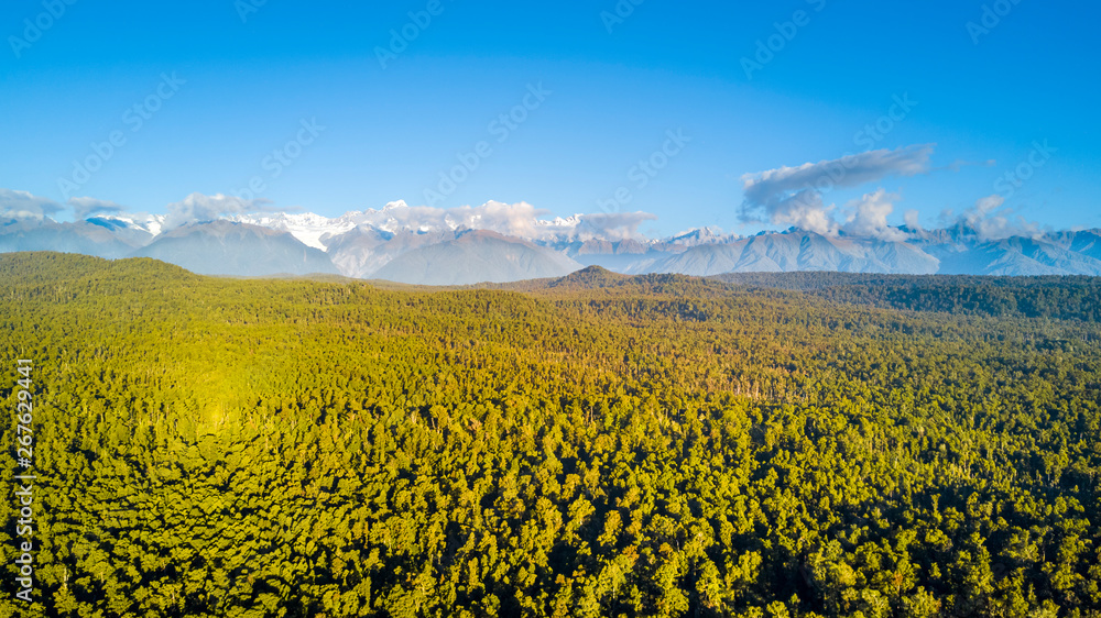 Native rain forest at the shore of Tasman sea with snowy mountains on the background. West Coast, South Island, New Zealand