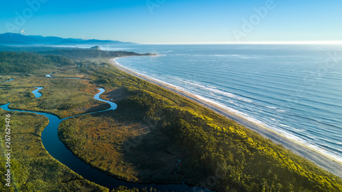 Canvas Print River running to the Tasman sea through the native forest