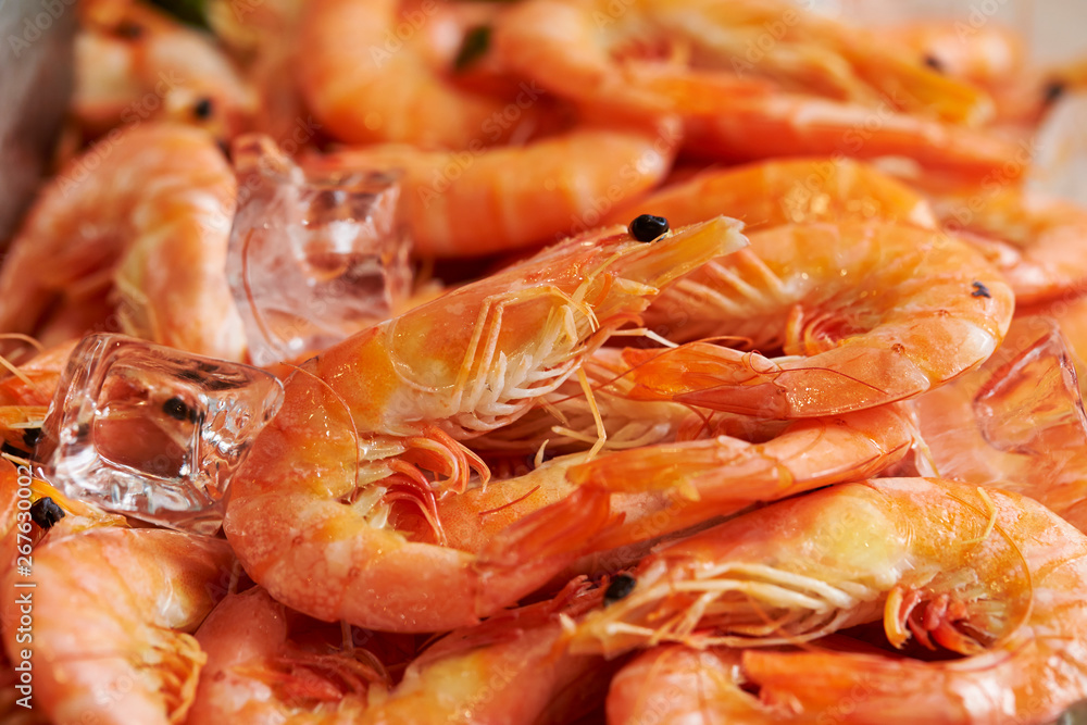 Boiled shrimps with ice cubes Boiled shrimps with ice cubes