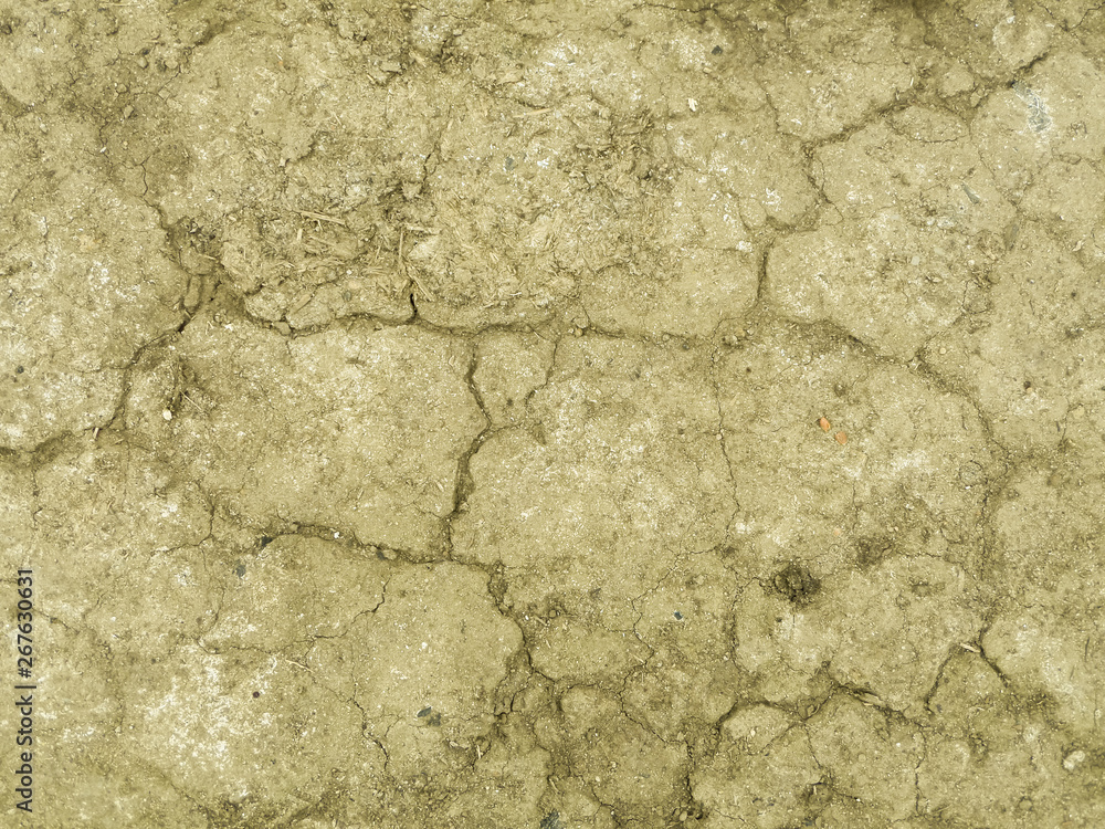 Abstract texture of cracked dried earth. Background. Abstract texture of cracked dried earth. Background.