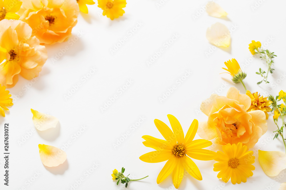yellow flowers on white background yellow flowers on white background