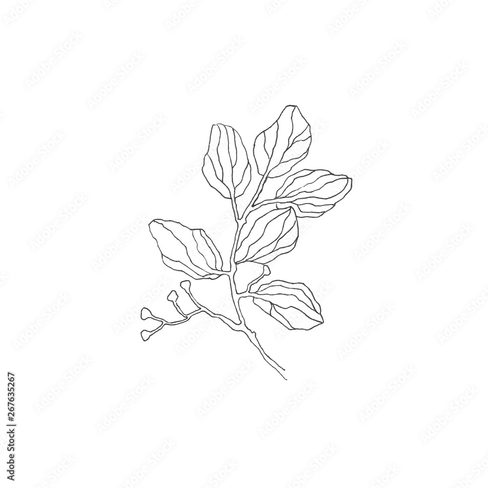 Pattern of fabulous colors. Isolated on white background. Pattern of fabulous colors. Isolated on white background.