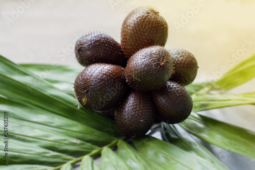   Closeup  group of Salak fruit(Salacca zalacca) is a type of palm tree and leaf with morning lighting effect.