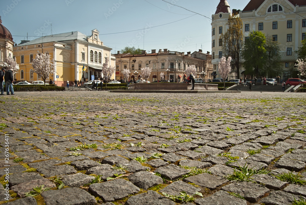 Cobblestone close-up. Sharpness on granite tile. Square and street are blurred in the background. Layout for design. The area is removed from the lower angle.