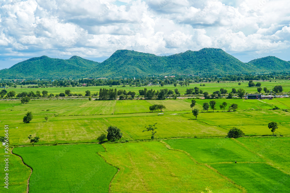 green rice field mountain landscape Thailand