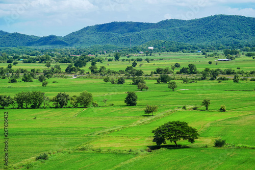 green rice field mountain landscape Thailand