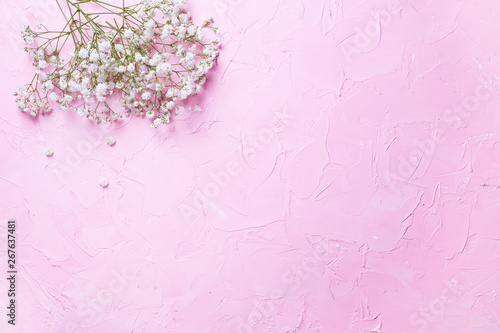Fresh white gypsofila  flowers  on  pink textured background. photo
