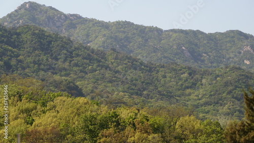멀리 바라보는 산