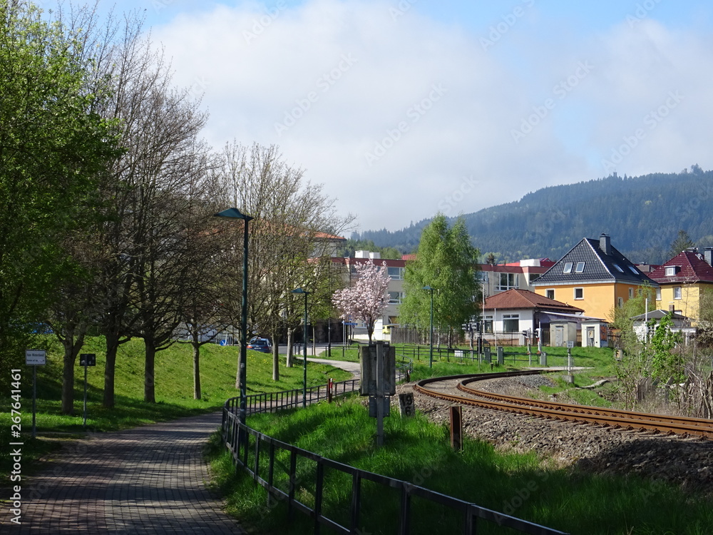 Obraz premium Ilmenau
