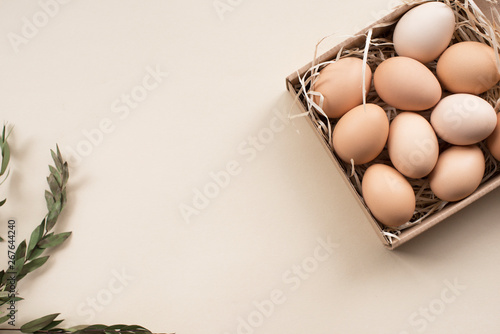 Closeup Raw fresh organic farm chicken eggs, brown color, in craft box with a eucalyptus twig  on a light background  , banner, Flat lay. Natural eco Happy Easter card.