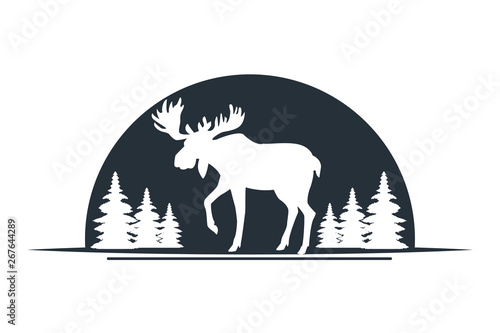 Moose wild animal