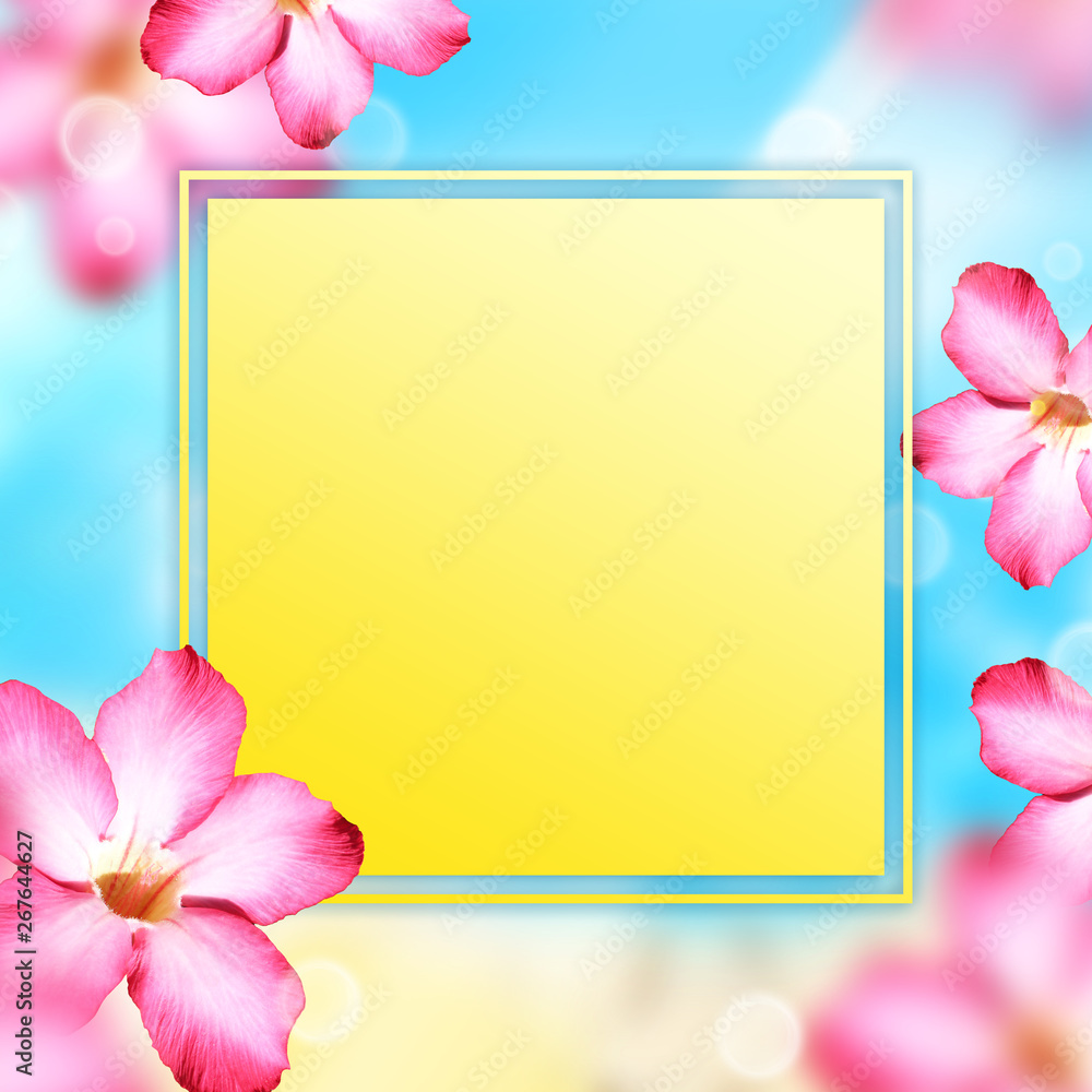 Obraz premium Summer frame with tropical flowers 