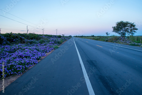 road and blue sky