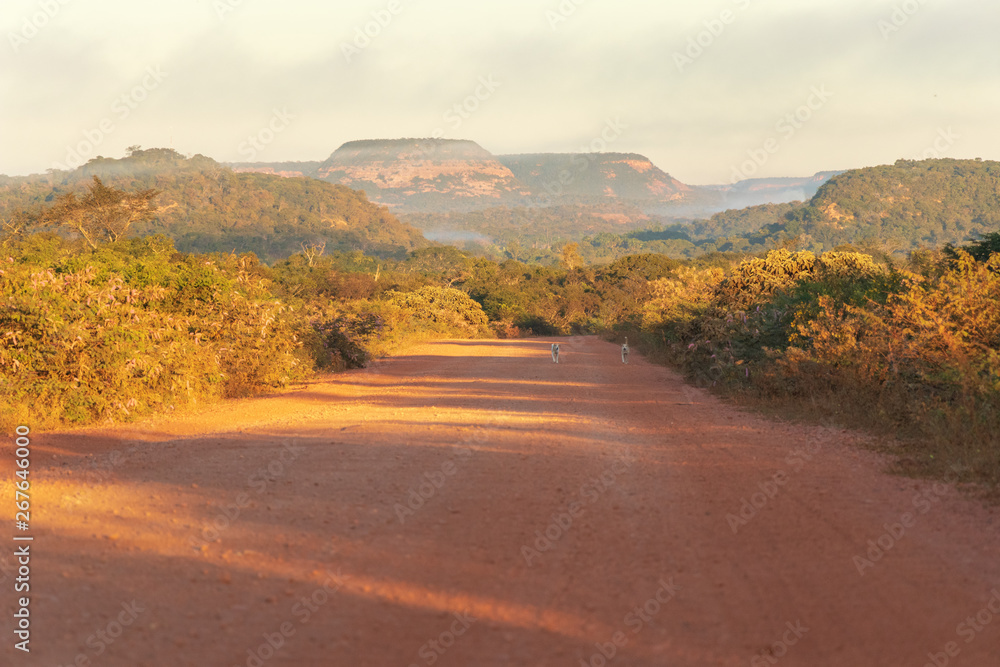 road in the mountains