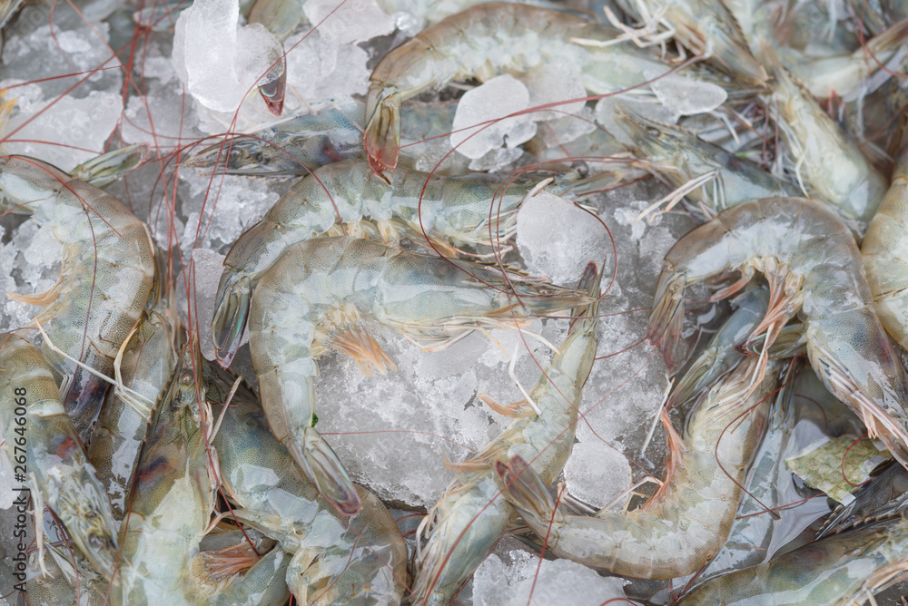 Raw fresh Shrimp, prawn on ice sell in market Raw fresh Shrimp, prawn on ice sell in market