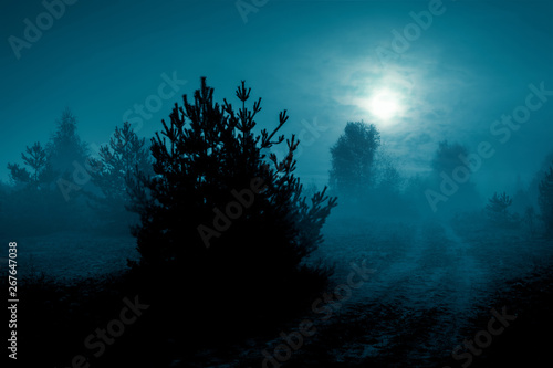 Mysterious landscape in cold tones - silhouettes of the trees along night rural road under the full moon through dramatic cloudy sky.