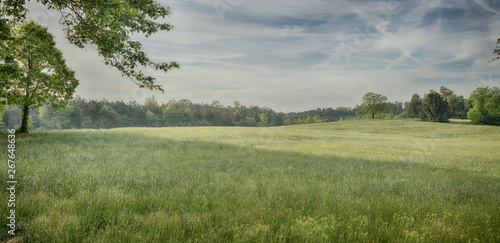Tableau sur toile "The Rollers" rolling hills of the Piedmont North Carolina ZDS Americana Landsca