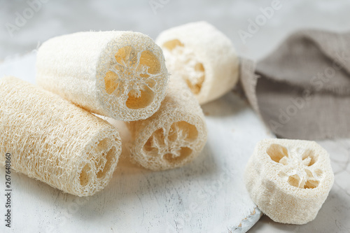 Obraz na płótnie Luffa sponge for zero waste washing or bath