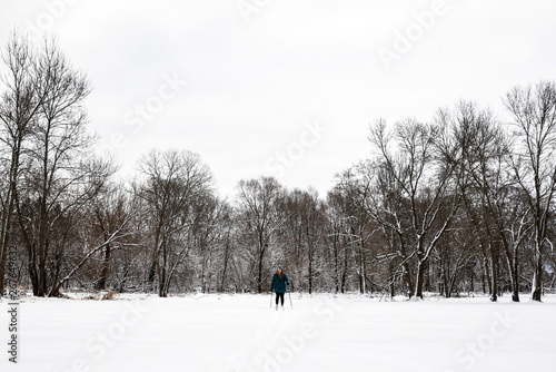 Cross Country Skiing in Forest in Southern Wisconsin 