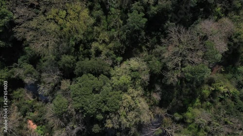 Landscape and Mediterranean forest, Cruilles, Emporda, Girona, Catalonia, Spain, Europe photo