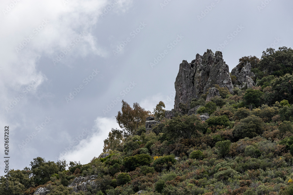 pamoramic view of extremadura dehesa