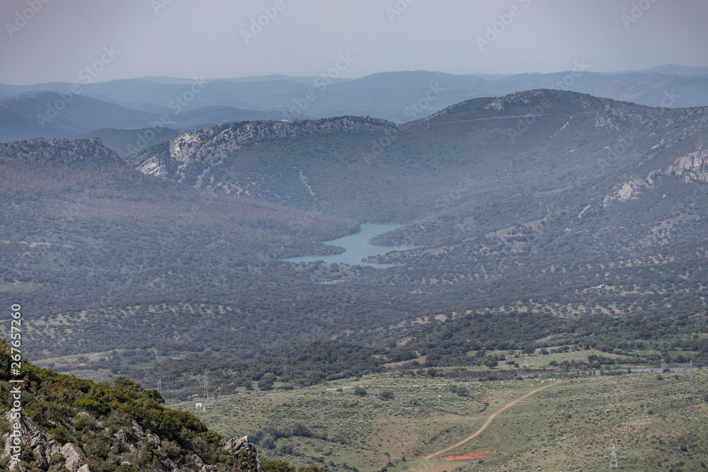 pamoramic view of extremadura dehesa