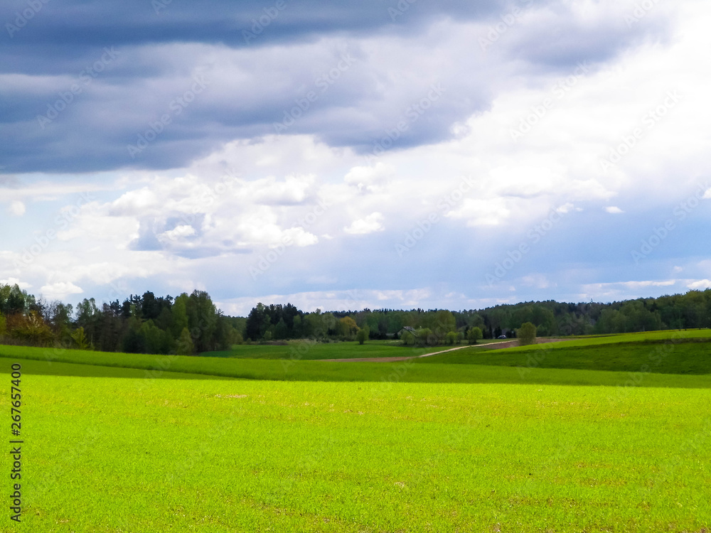 Green fields in Kashubia region - Northern Poland. Green fields in Kashubia region - Northern Poland.