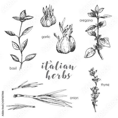 Italian herbs set
